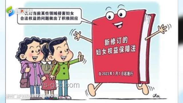 聪明女性的智慧法则：家庭隐私守护与行业洞察力